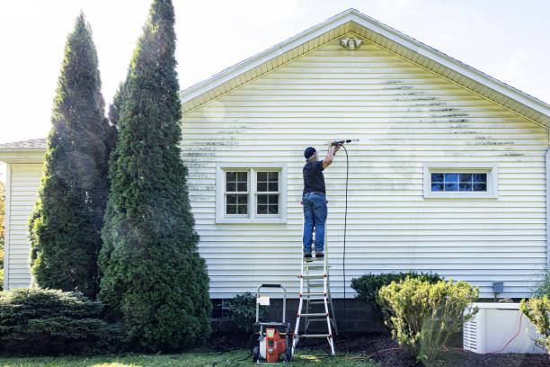 Best Residential House Exterior Washing  in Anahuac, TX